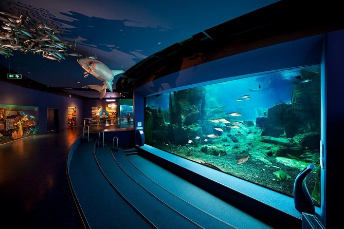 Istanbul Aquarium Admission with Hotel Transfers - Is four hours at the aquarium too long?