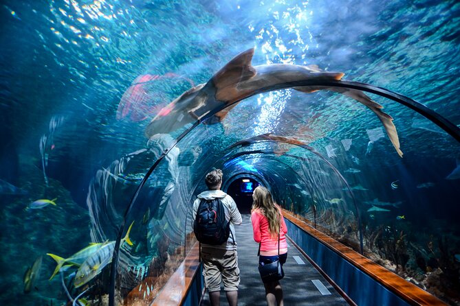 Istanbul Aquarium Admission with Hotel Transfers - What the $54.44 price includes