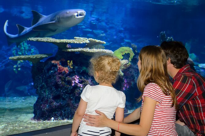 Istanbul Aquarium Admission with Hotel Transfers - The 80-meter tunnel is the visual centerpiece