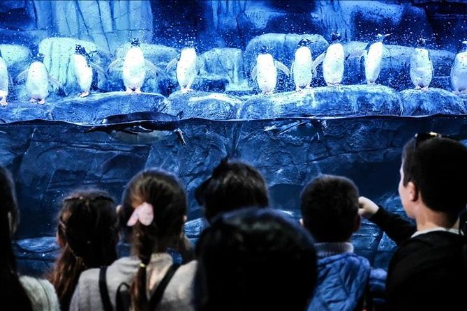 Istanbul Aquarium and Aqua Florya Independent Shopping Trip - What the 16 aquatic areas feel like to explore