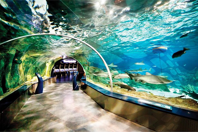 Istanbul Aquarium and Aqua Florya Independent Shopping Trip - What the lack of a guide means for your day