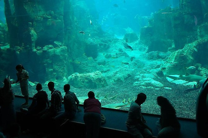 Istanbul Aquarium and Aqua Florya Independent Shopping Trip - Is $300.06 per person a fair price?