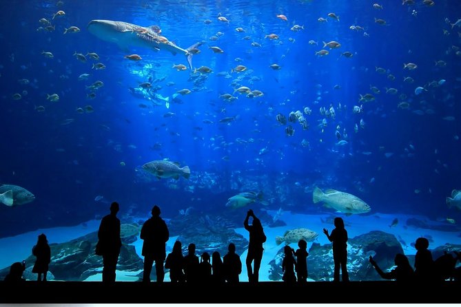 Istanbul Aquarium and Aqua Florya Independent Shopping Trip - Who will enjoy this Istanbul outing most?