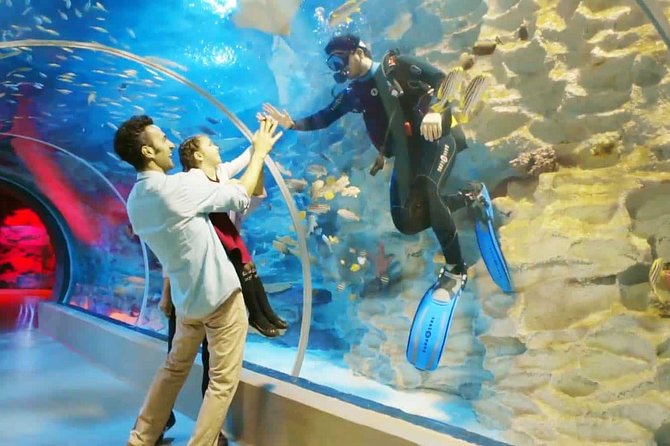 Istanbul Aquarium and Aqua Florya Independent Shopping Trip - The 5D cinema adds motion, water, and extra cost