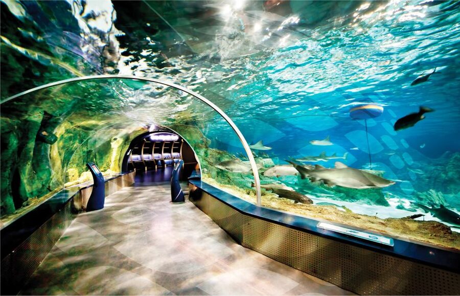 Istanbul Aquarium and Aqua Florya Shopping Mall Tour - Sharks, stingrays, penguins, and piranhas