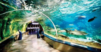 Istanbul Aquarium and Aqua Florya Shopping Mall Tour