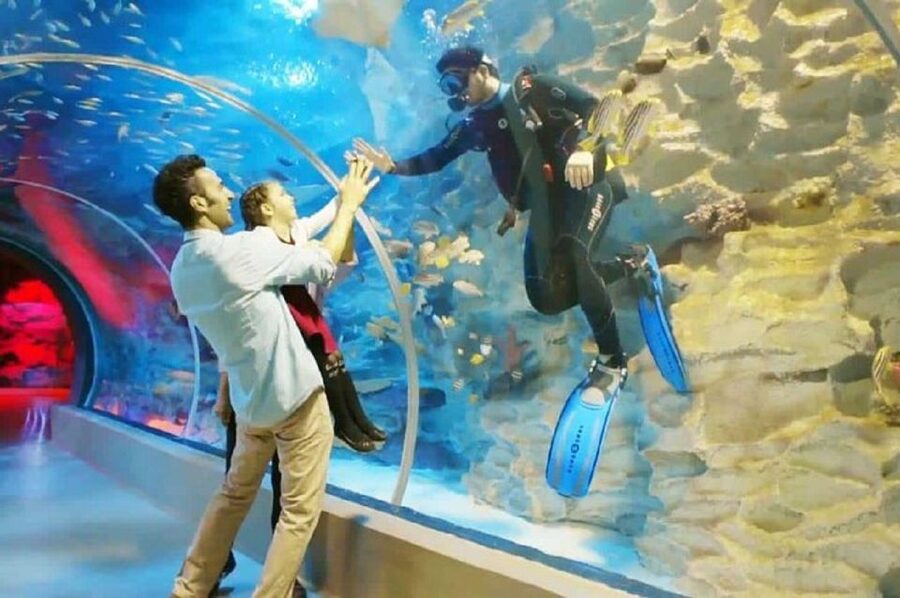 Istanbul Aquarium and Aqua Florya Shopping Mall Tour - Aqua Florya turns the end of the visit into free time