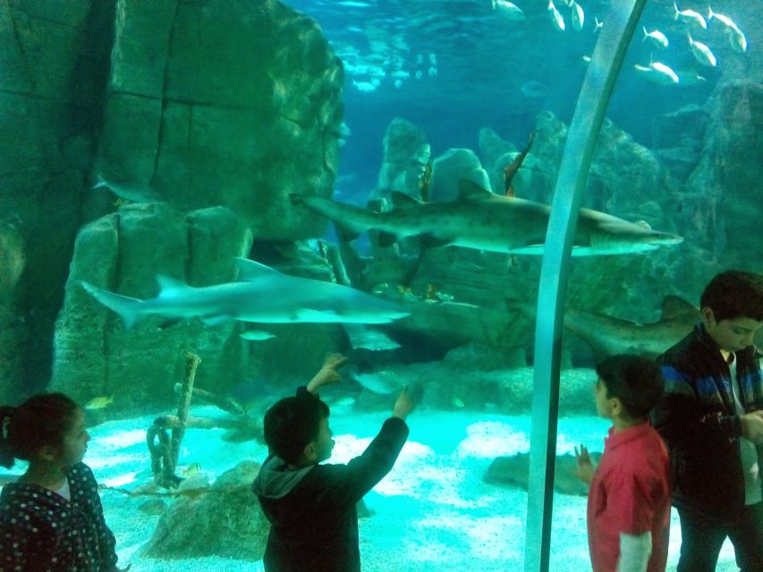 Istanbul Aquarium and Aqua Florya Shopping Mall Tour - What the $177 price really covers