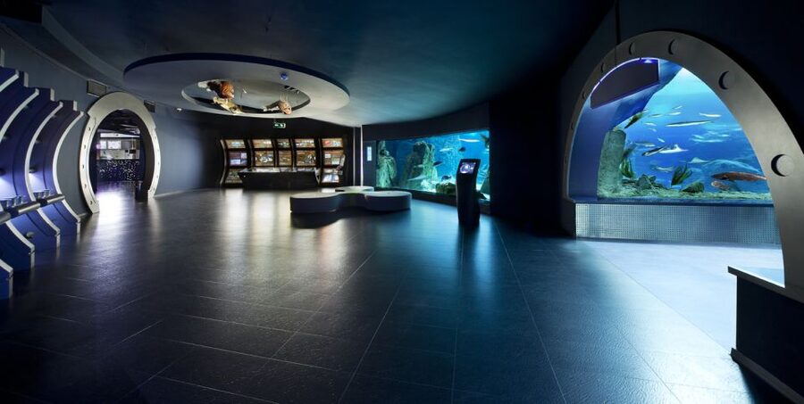 Istanbul Aquarium and Aqua Florya Shopping Mall Tour - Pickup, timing, and the practical side