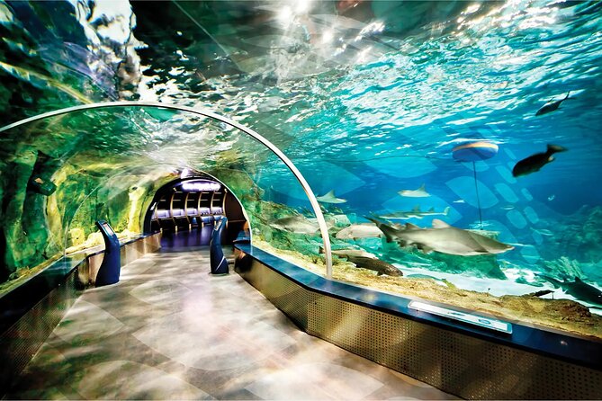 Istanbul Aquarium and Shopping Tour with Hotel Transfers - Inside 17 zones of Istanbul Aquarium