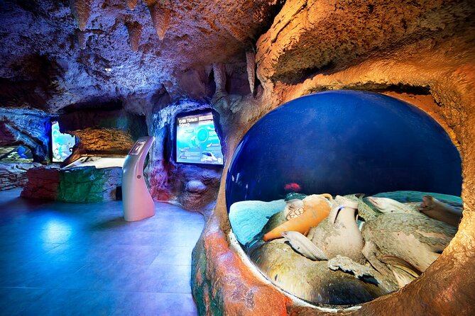 Istanbul Aquarium and Shopping Tour with Hotel Transfers - Who will get the most from this outing
