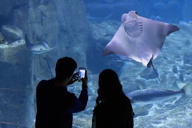 Istanbul Aquarium and Shopping Tour with Hotel Transfers - Should you book the Istanbul Aquarium and Shopping Tour?
