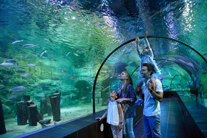 Istanbul Aquarium and Shopping Tour with Hotel Transfers - Walking beneath sharks and rays