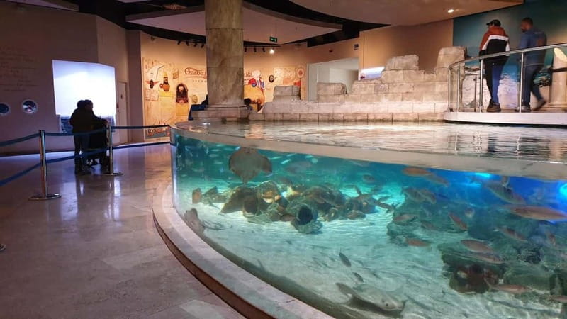 Istanbul: Aquarium Ticket and Round Trip Shuttle from Taksim - Should you book the Istanbul Aquarium shuttle?