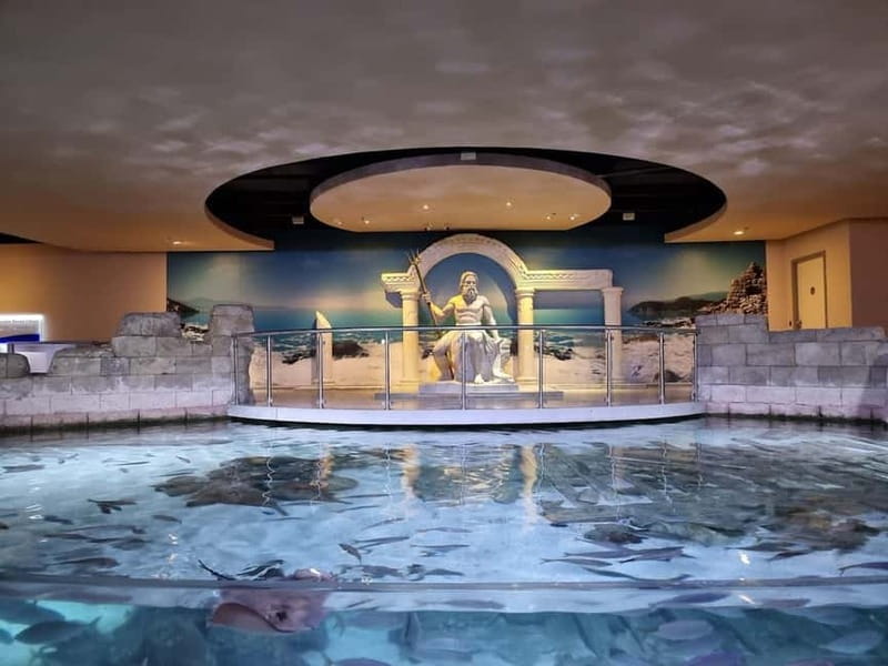 Istanbul: Aquarium Ticket and Round Trip Shuttle from Taksim - Sharks, penguins, piranhas, and smaller fish