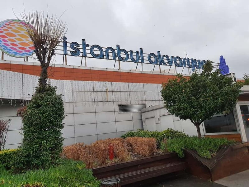 Istanbul: Aquarium Ticket and Round Trip Shuttle from Taksim - The four-hour gap between shuttle times