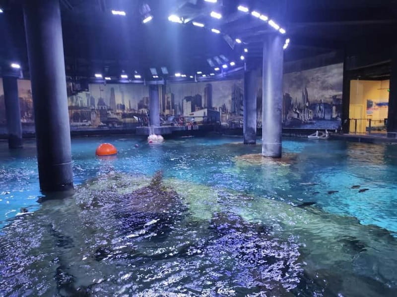 Istanbul: Aquarium Ticket and Round Trip Shuttle from Taksim - Is $33 a fair price?