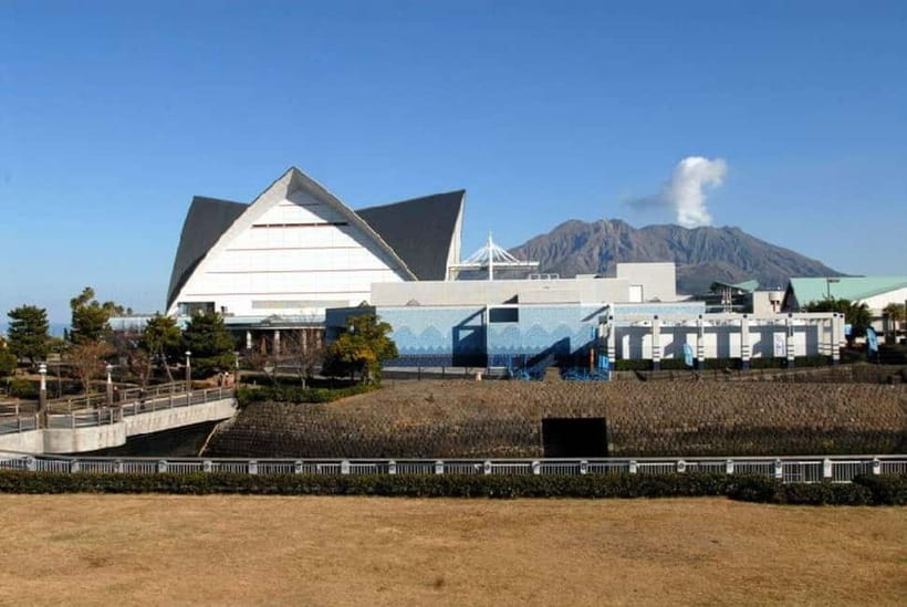 Kagoshima Aquarium Admission Ticket - Who will enjoy Kagoshima Aquarium most?