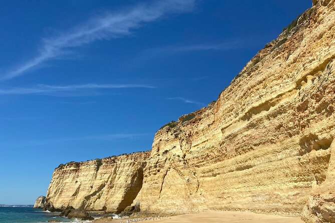 Kayak Tours with Amazing Caves, sea life and Marine Biologist . - Key points at a glance