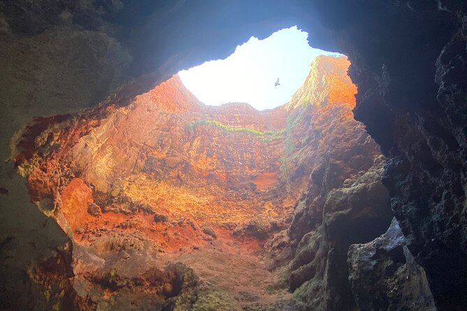 Kayak Tours with Amazing Caves, sea life and Marine Biologist . - Starting at Praia Grande in Ferragudo