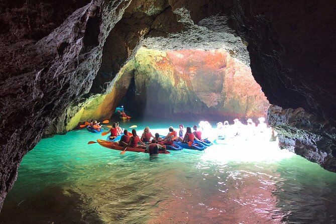Kayak Tours with Amazing Caves, sea life and Marine Biologist . - Equipment, comfort, and safety