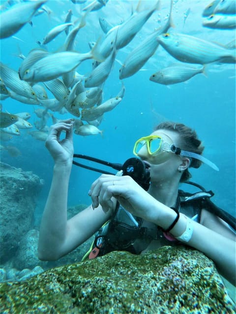 Kemer: Scuba Diving Experience in Aquarium and Kiris Bays - Getting started at Kemer Marina