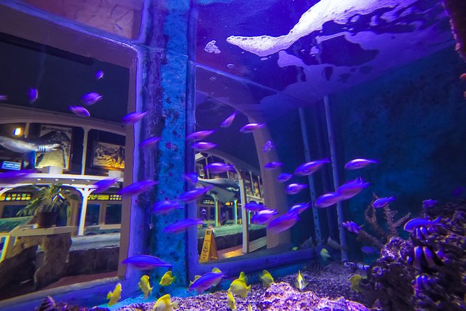 Key West Aquarium Admission - The talks make the admission worthwhile