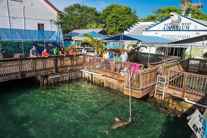 Key West Aquarium Admission - Who will enjoy it most
