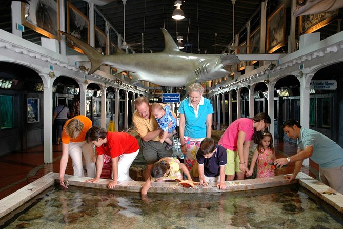 Key West Aquarium Admission - The Atlantic Shores tank shows mangrove life