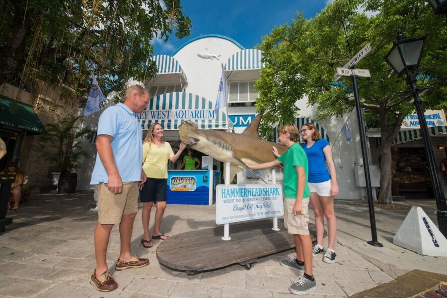 Key West Aquarium Tickets - What the $22 Key West Aquarium ticket includes