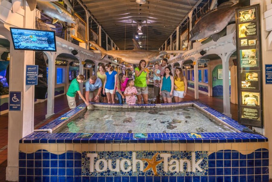 Key West Aquarium Tickets - Make time for the Touch Tank