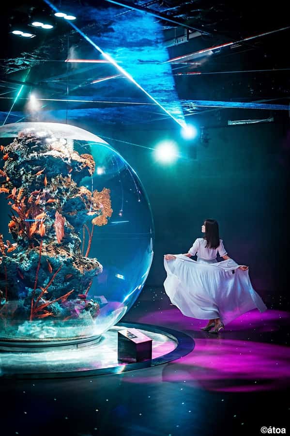Kobe: Urban Aquarium AQUARIUM×ART átoa Entry Ticket - Why átoa feels different from a standard aquarium