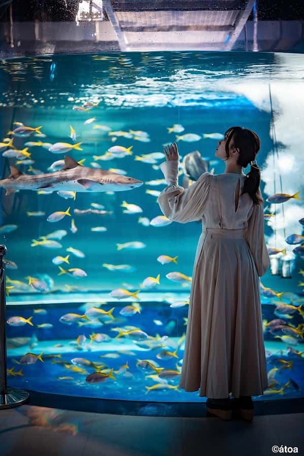 Kobe: Urban Aquarium AQUARIUM×ART átoa Entry Ticket - Eight zones create a changing rhythm