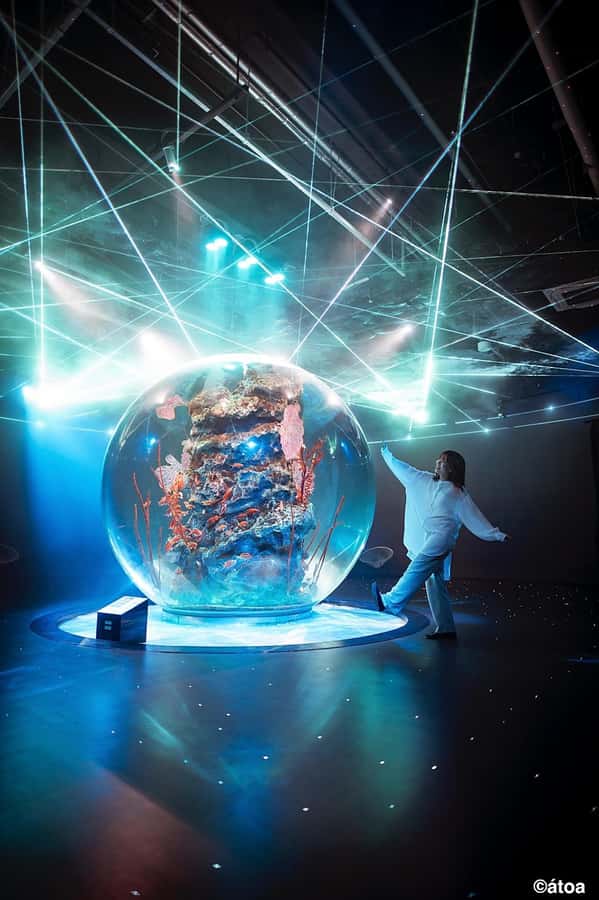Kobe: Urban Aquarium AQUARIUM×ART átoa Entry Ticket - Light, shadow, and the spherical aquarium