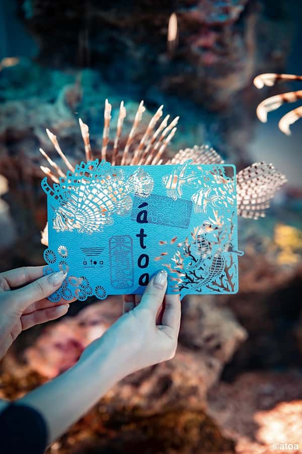 Kobe: Urban Aquarium AQUARIUM×ART átoa Entry Ticket - Practical ticket advice