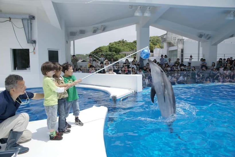 Kujukushima: Aquarium Umikirara Admission Ticket - Compare the Goto marine tank feeding