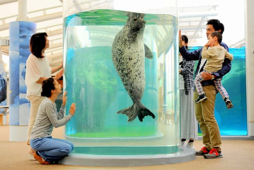Kyoto Aquarium Admission Ticket - Key points to know before you go