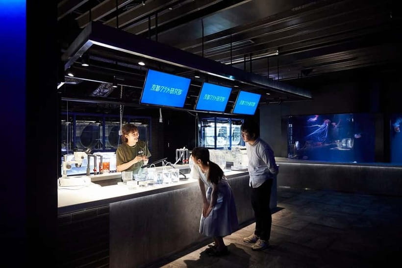 Kyoto Aquarium Admission Ticket - How long to plan for at the $16 price