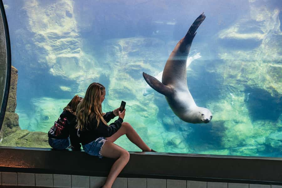 LA: Aquarium of the Pacific Skip-the-Line Entry - Southern California exhibits: a gentle introduction