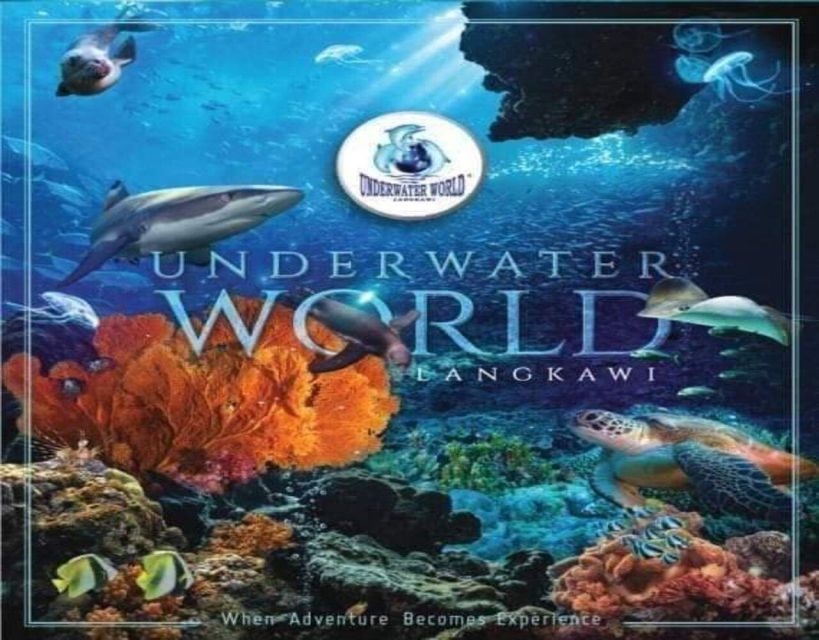Langkawi: Underwater World Langkawi Entry Ticket - The Sub-Antarctic Zone Brings You Face to Face with Penguins