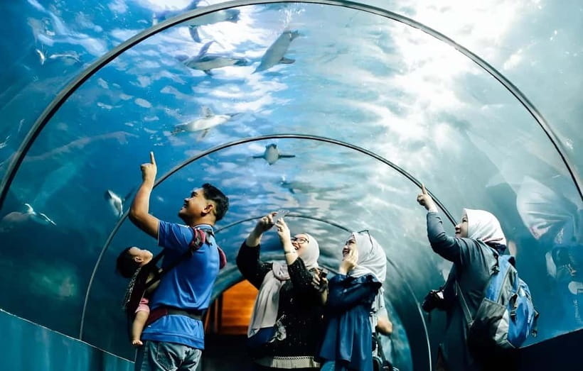 Langkawi: Underwater World Langkawi Entry Ticket - The Rainforest Zone Adds Birds and Freshwater Life