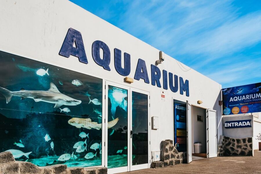 Lanzarote: Aquarium Entry Ticket - Key points to know before you go