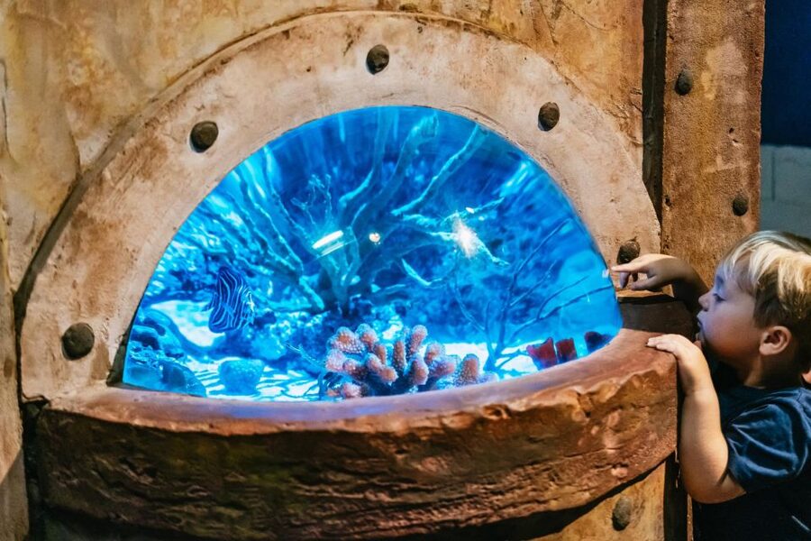 Lanzarote: Aquarium Entry Ticket - My practical verdict