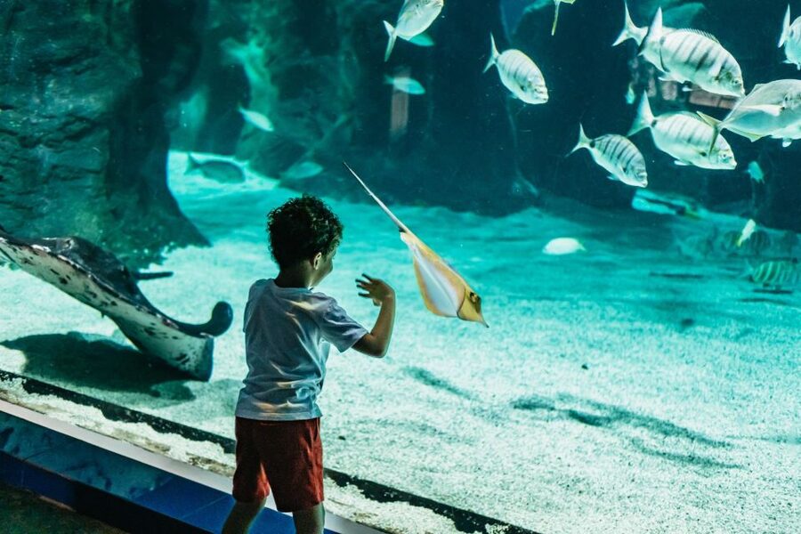 Lanzarote: Aquarium Entry Ticket - Turtle rehabilitation gives the visit more meaning