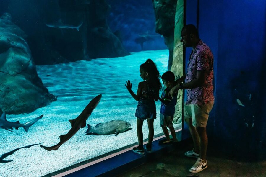 Lanzarote: Aquarium Entry Ticket - How long should you allow?