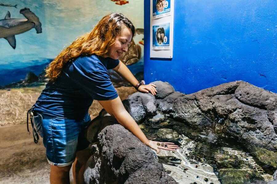 Lanzarote: Aquarium Entry Ticket - Staff, language, and the pace of the visit