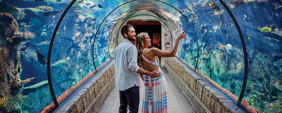 Las Vegas: Shark Reef Aquarium Entry Ticket - What Shark Reef Aquarium is really like