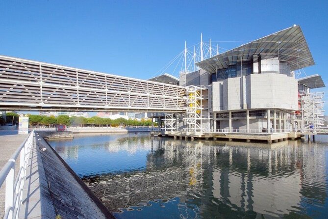Lisbon Oceanario: Aquarium Entrance Ticket - The central aquarium: sharks, rays, turtles, and constant motion
