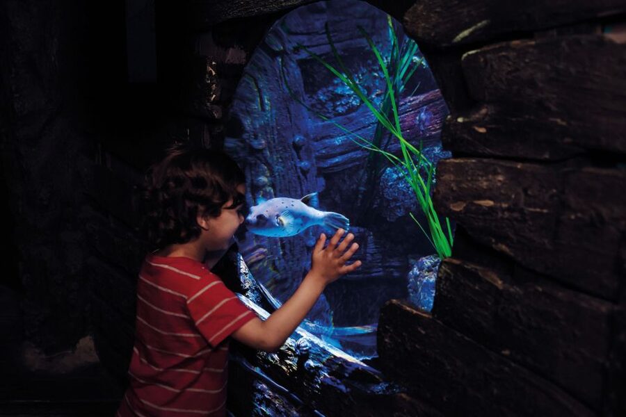 London: Madame Tussauds, London Eye & SEA LIFE Combo Ticket - How this London combo ticket works