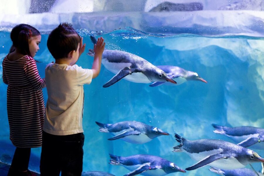 London: Madame Tussauds, London Eye & SEA LIFE Combo Ticket - Is $72 good value?